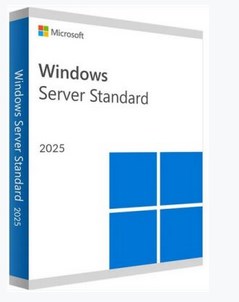 Microsoft Windows Server 2025 Standard, ESD 